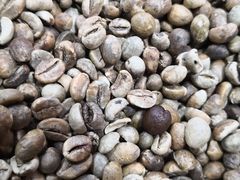 -巴厘岛黄金金兔咖啡工厂