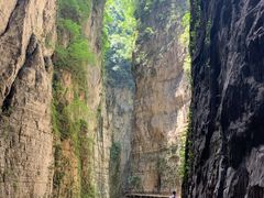 -武陵山森林公园