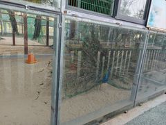 -羊亭河湿地公园