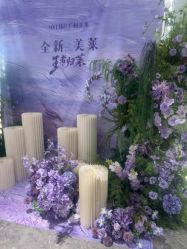 -广州美莱医疗美容医院