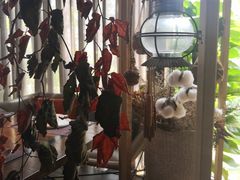 -肴约·花园式餐厅(湖里店)