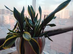 -赛纳河休闲商务会馆(天宁寺店)