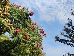 -杭州城北体育公园