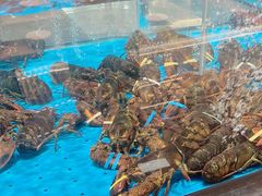 -艳阳天·非遗楚菜(武汉客厅店)