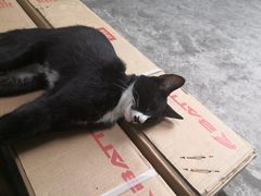 -维客单车(响水路店)