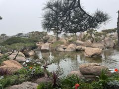 -罗红摄影艺术馆