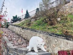 -辛安庄鸡鸣山景区