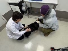 -中国农业大学动物医院