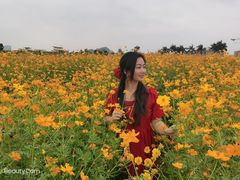 -光明小镇欢乐田园