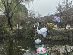 -香雪海