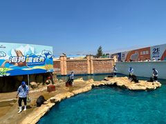 -秦皇岛乐岛海洋王国