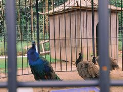 -前小桔亲子创意农场·草莓采摘·露营烧烤