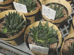 -鹿岛会员店 (龙湖三千集天街店)