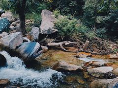 -黑龙潭风景区