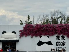 -成都大熊猫繁育研究基地