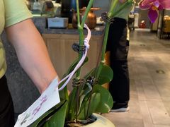 -姥姥家春饼店(惠新东街店)