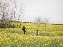 -西海岸生态观光园