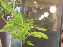 -西堤厚牛排(国瑞店)