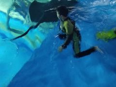 -北戴河圣蓝海洋公园