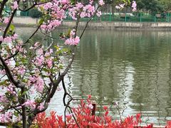 -黄兴公园