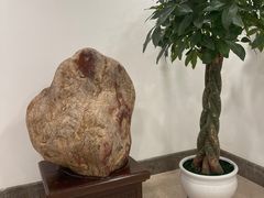 -风味小馆(天目湖宾馆店)