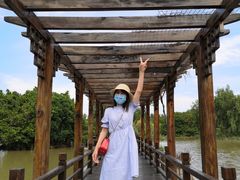 -大湾区中央湿地公园