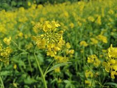 -长春公园(普阳街道)