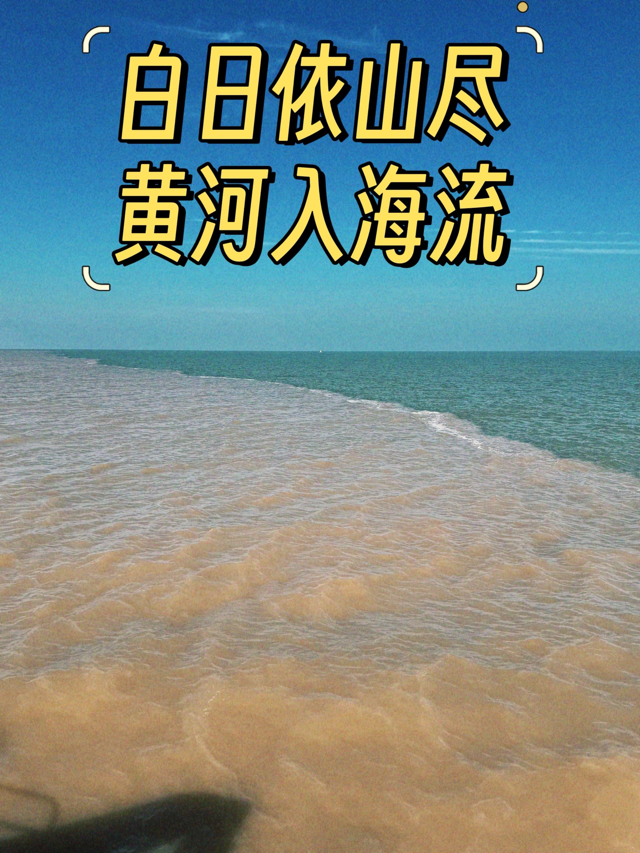 东营丨黄河入海口