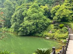 -桃花岭景区
