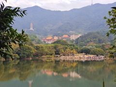 -深圳仙湖植物园