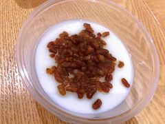 红豆双皮奶特惠-阿三生煎(正弘城店)