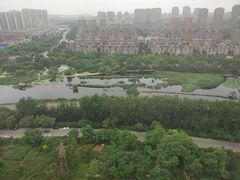 -前关湿地公园