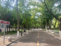 -山东大学(趵突泉校区)