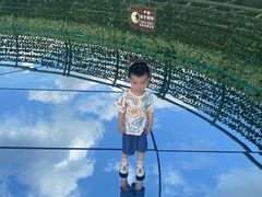 -黄海国家森林公园