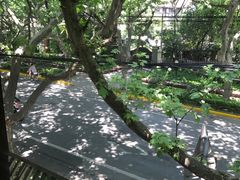 -五观堂素食(新华路店)