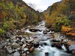 -秦岭风景区
