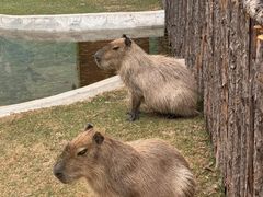 -鄂尔多斯野生动物园