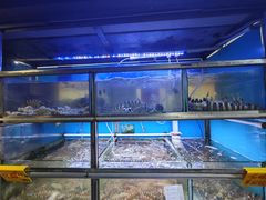 -富来美食(成发大厦店)