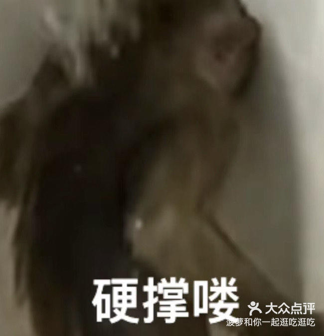 在等假期的打工人现状