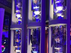 -108·公社·创意餐厅·LIVE HOUSE(李公堤店)