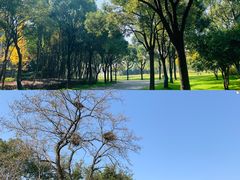 -贡湖湾湿地公园