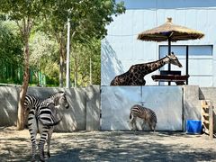 -水上乐园·欢乐世界