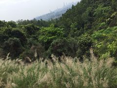 -火炉山森林公园