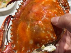 -老大连·海肠捞饭·大连海鲜大连菜(西安路店)