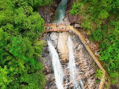 -广州白江湖森林公园