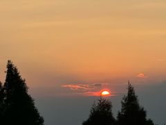 -武陵山森林公园