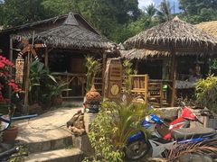 -Jungle Kitchen