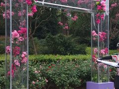 -杭州城北体育公园