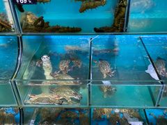 水产区-蟹谢蒸鲜自助餐厅