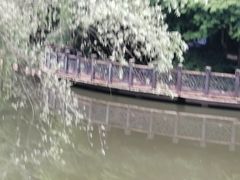 -自然谷恐龙园